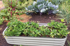 pexels-photo-5958784