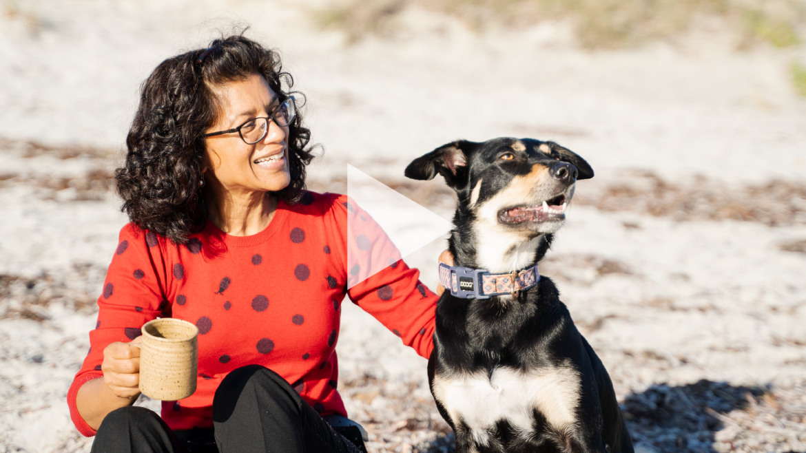 Bring Borrow Stay campaign video