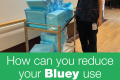 2022-SMHS-1230-Think-before-you-bluey-reduce-display-posters_Page_3